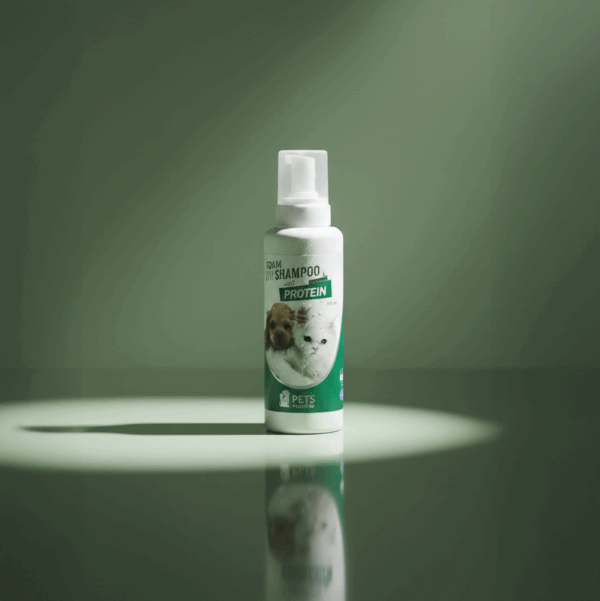 Dry Foam Shampoo with Protein 520ml